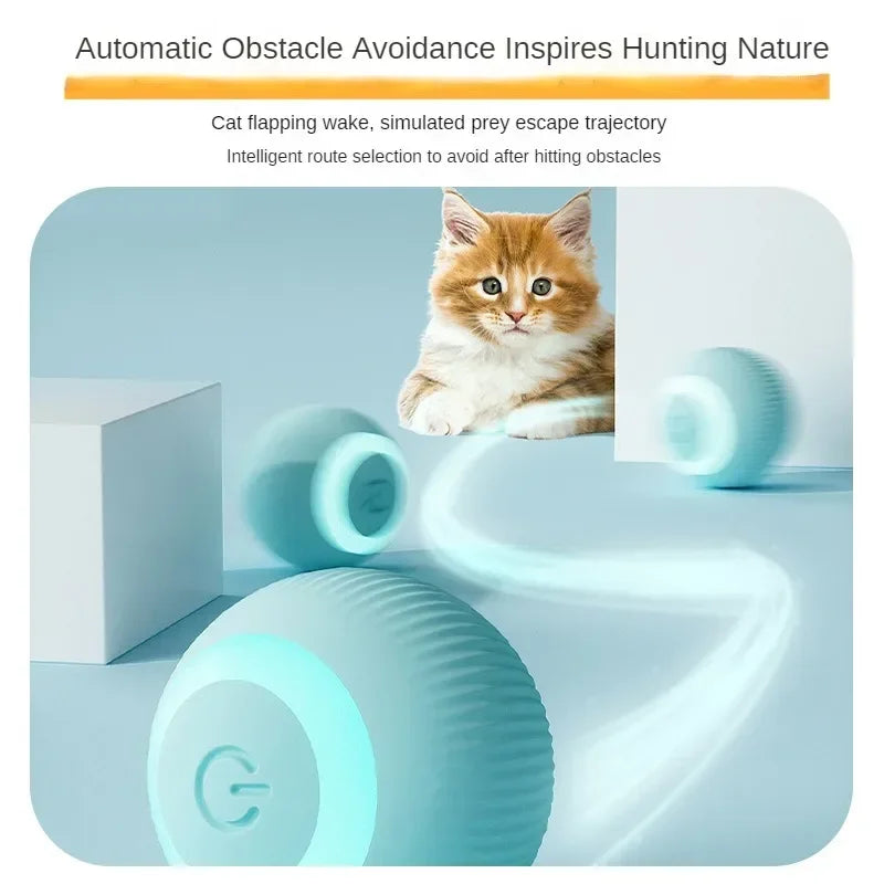 Interactive Rechargeable Cat Ball Toy-3